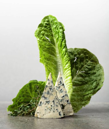 Photo for Blue cheese slices with lettuce and thyme. Copy space. - Royalty Free Image