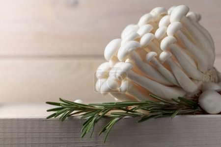 Téléchargez les photos : Bouquet de champignons Shimeji avec romarin sur une table en bois blanc. Cuisine japonaise. - en image libre de droit