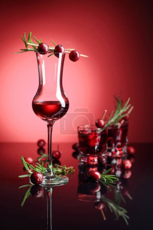 Photo for Cranberry liquor with rosemary on a black reflective background. - Royalty Free Image