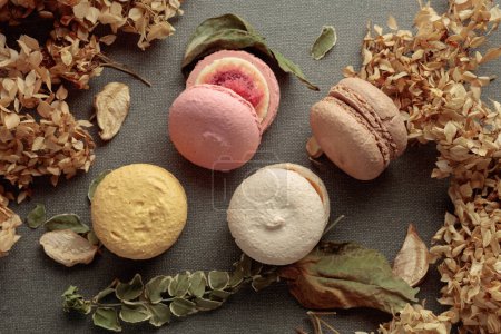 Photo for Delicious sweet colorful macaroons with dried flowers. Top view. - Royalty Free Image