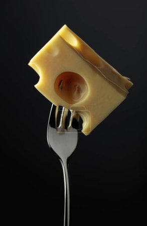 Photo for Piece of Maasdam cheese on a black background. - Royalty Free Image