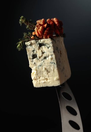 Photo for Blue cheese with walnuts and thyme on a knife. - Royalty Free Image