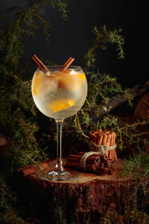 Photo for Gin and Tonic cocktail with orange and cinnamon. An iced refreshing drink on an old stump with moss and juniper branches. - Royalty Free Image