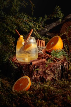 Foto de Cóctel de Ginebra y Tónico con naranja y canela. Una bebida refrescante helada en un viejo tocón con ramas de musgo y enebro. - Imagen libre de derechos