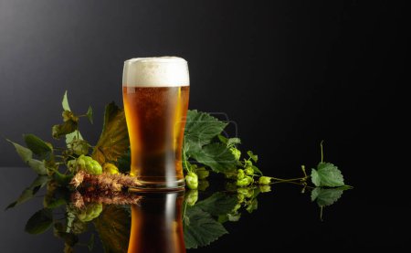 Photo for Beer with hops and barley on a black reflective background. Copy space. - Royalty Free Image