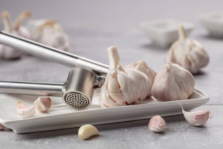 Photo for Garlic and garlic press on a grey stone table. - Royalty Free Image