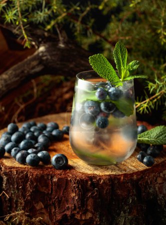 Téléchargez les photos : Cocktail avec glace, bleuets et menthe sur une souche dans la forêt. Boisson rafraîchissante d'été. - en image libre de droit