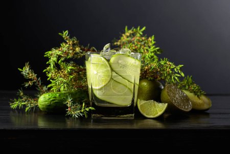 Téléchargez les photos : Cocktail Gin-tonique aux branches de glace, lime, concombre et genièvre sur fond noir. - en image libre de droit