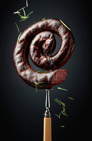 Photo for Spanish black pudding or blood sausage with rosemary on a black background. - Royalty Free Image