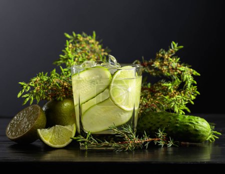 Photo for Cocktail Gin-tonic with ice, lime, cucumber, and juniper branches on a black background. - Royalty Free Image
