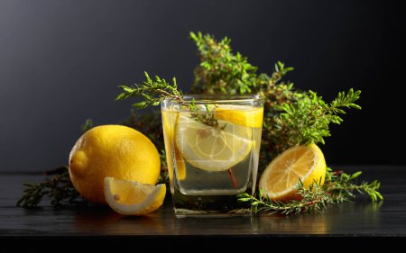 Foto de Cóctel Gin-tonic con hielo, limón y ramas de enebro en una mesa de madera negra. - Imagen libre de derechos