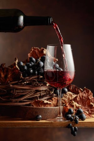 Wino wlewa się do szklanki. Czerwone wino i grono winogron.