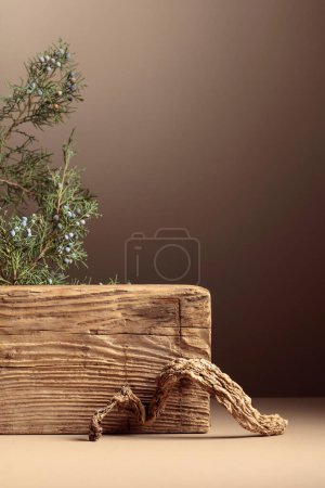 Photo for Abstract composition of old wooden plank and juniper branch. Neutral beige background for cosmetic, beauty product branding, and spa concept. Natural pastel colors. Copy space, front view. - Royalty Free Image