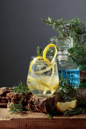 Téléchargez les photos : Cocktail gin-tonic avec glace, citron et romarin dans un verre congelé. Une boisson rafraîchissante avec des branches de genièvre et des chicots sur une vieille planche. - en image libre de droit