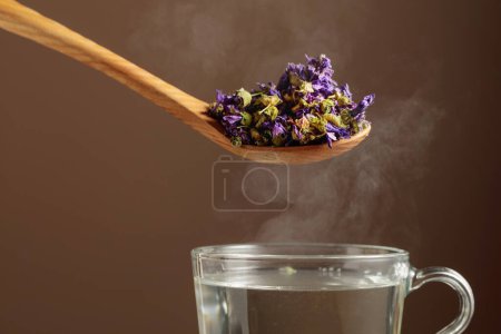 Téléchargez les photos : Fleurs de mauve séchées pour faire une tisane et une tasse avec de l'eau chaude. - en image libre de droit