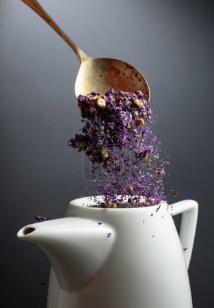 Photo for Dried lavender flowers are poured into a white teapot. - Royalty Free Image