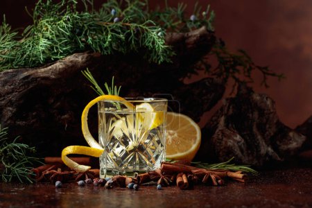 Photo for Cocktail gin-tonic with lemon, cinnamon, anise, and juniper berries. In the background old snags and juniper branches. - Royalty Free Image
