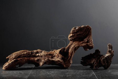 Téléchargez les photos : Vieux accroc en bois sec sur une table en pierre noire. Fond noir avec espace de copie. - en image libre de droit