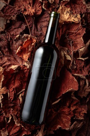 Téléchargez les photos : Bottle of red wine on dried-up vine leaves. Top view. - en image libre de droit