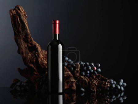 Téléchargez les photos : Bouteille de vin rouge avec un vieux chicots et des raisins bleus. Espace de copie. - en image libre de droit