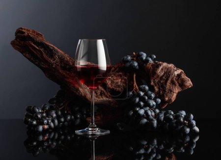 Photo for Glass of red wine. In the background old weathered snag and blue grapes. Copy space. - Royalty Free Image