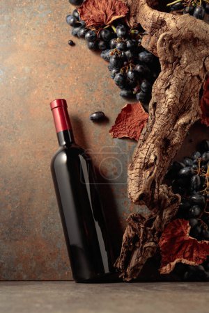 Photo for Bottle of red wine with blue grapes on a rusty background with an old snag and dried-up vine leaves. Concept of vinery. - Royalty Free Image