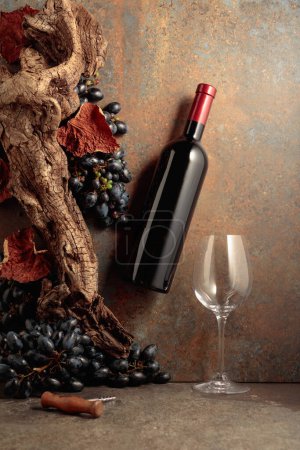 Téléchargez les photos : Bouteille de vin rouge avec des raisins bleus sur un fond rouillé avec un vieux collet et des feuilles de vigne séchées. Concept de cave. - en image libre de droit