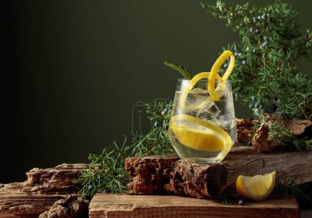 Photo for Cocktail gin-tonic with ice, lemon, and rosemary in a frozen glass. A refreshing drink with juniper branches on an old plank. Green background with copy space. - Royalty Free Image