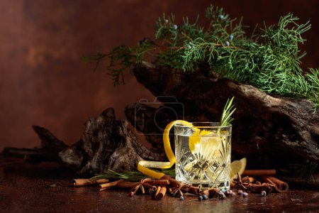 Foto de Cóctel gin-tonic con limón, canela, anís y bayas de enebro. En el fondo viejos lazos y ramas de enebro. - Imagen libre de derechos