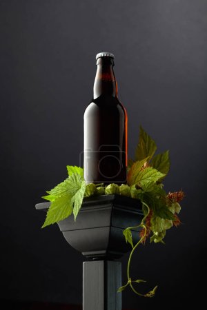 Foto de Botella de cerveza con lúpulo verde y espigas de trigo en un podio negro. - Imagen libre de derechos