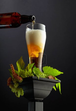 Foto de La cerveza se vierte de una botella en un vaso. Cerveza con lúpulo verde y espigas de trigo sobre fondo negro. - Imagen libre de derechos