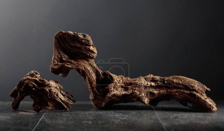 Photo for Old dry wooden snag on a black stone table. Black background with copy space. - Royalty Free Image