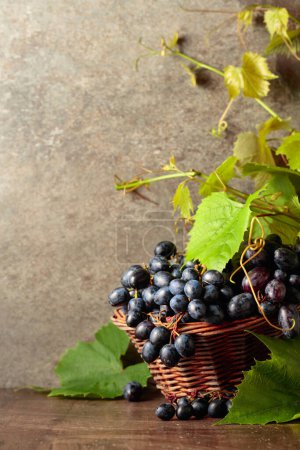 Téléchargez les photos : Raisins bleus et branches de vigne sur une vieille table en bois. - en image libre de droit