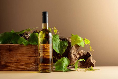 Foto de Botella de vino blanco con madera vieja y ramas de vid. Copiar espacio. - Imagen libre de derechos