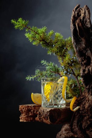 Téléchargez les photos : Cocktail gin-tonic au citron dans un verre de cristal sur une vieille planche. En arrière-plan vieux chicots, branches de genévrier avec des baies, et un ciel nuageux. - en image libre de droit