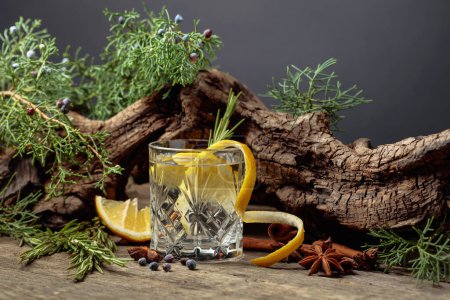 Foto de Cóctel gin-tonic con limón, canela, anís y bayas de enebro. En el fondo viejos lazos y ramas de enebro. - Imagen libre de derechos