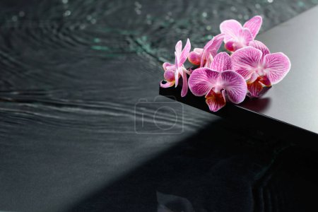 Photo for Beautiful purple orchid flowers on a blackboard. Water ripples in the background.  Concept banner for spa and cosmetic body care products. - Royalty Free Image