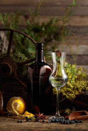 Foto de Tintura de hierbas en una botella antigua de vidrio oscuro. Anise, cilantro, y bayas de enebro se dispersan en una mesa de madera. - Imagen libre de derechos