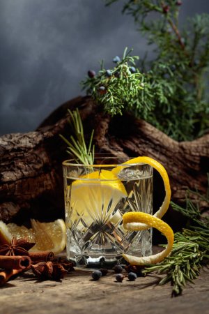 Téléchargez les photos : Cocktail gin-tonic au citron, cannelle, anis et baies de genièvre. En arrière-plan vieux chicots, branches de genévrier, et un ciel nuageux. - en image libre de droit