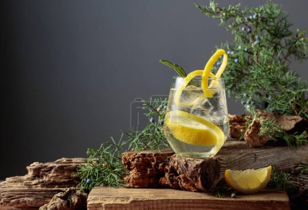 Téléchargez les photos : Cocktail gin-tonic avec glace, citron et romarin dans un verre congelé. Une boisson rafraîchissante avec des branches de genièvre sur une vieille planche. Fond gris avec espace de copie. - en image libre de droit