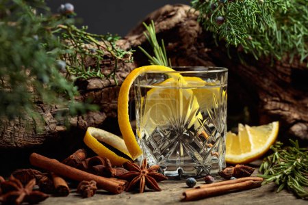 Photo for Cocktail gin-tonic with lemon, cinnamon, anise, and juniper berries. In the background old snags and juniper branches. - Royalty Free Image