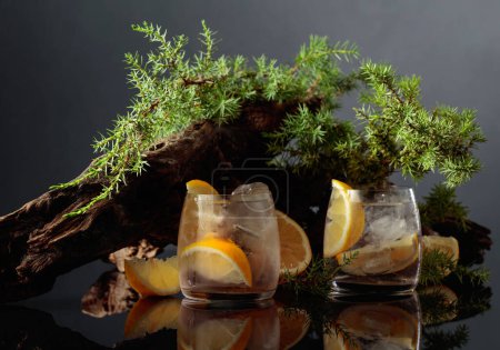 Photo for Cocktail gin-tonic with ice and lemon on a black reflective background. Iced drink with old snags and juniper branches. - Royalty Free Image