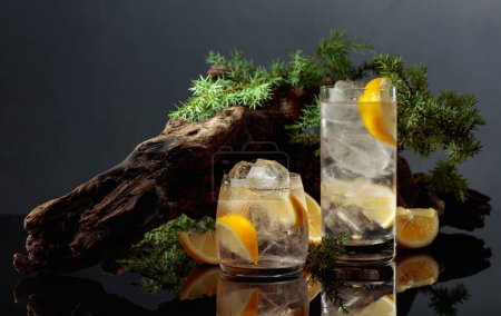 Photo for Cocktail gin-tonic with ice and lemon on a black reflective background. Iced drink with old snags and juniper branches. - Royalty Free Image
