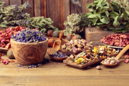 Foto de Varias plantas medicinales secas, hierbas y flores sobre un fondo de madera viejo. Concepto de medicina herbal o aromaterapia. - Imagen libre de derechos