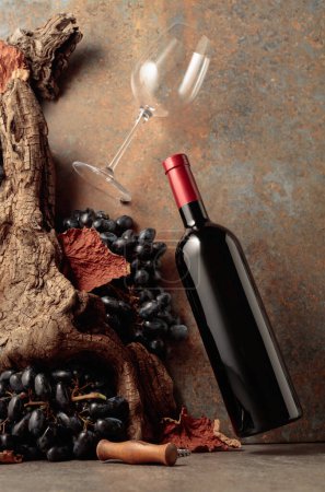 Photo for Bottle of red wine in motion on a rusty background with an old snag, blue grapes, and dried-up vine leaves. Concept of vinery. - Royalty Free Image
