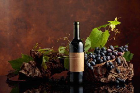 Téléchargez les photos : Bouteille de vin rouge avec raisins bleus et branches de vigne. Sur une vieille étiquette vide. Espace de copie. - en image libre de droit