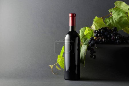 Foto de Botella de vino tinto con uvas azules y ramas de vid. Copiar espacio. - Imagen libre de derechos