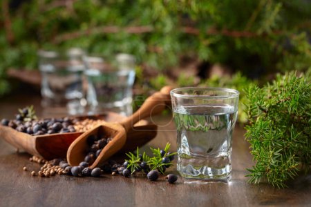 Photo for Blue gin and juniper branches on an old wooden table. Gin with ingredients - juniper berries and coriander seeds. - Royalty Free Image