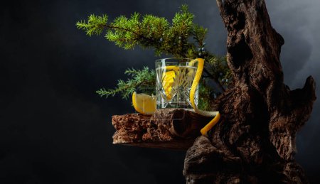 Foto de Cóctel gin-tonic con limón en un vaso de cristal sobre una tabla vieja. En el fondo viejos lazos, ramas de enebro con bayas, y un cielo nublado. - Imagen libre de derechos