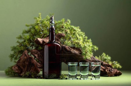Photo for Gin in vintage bottle on a background of old snags and juniper branches with berries. Green background with copy space. - Royalty Free Image